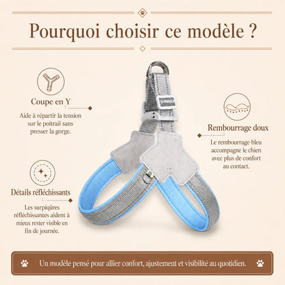 harnais chien bleu reflechissant pourquoi choisir ce modele