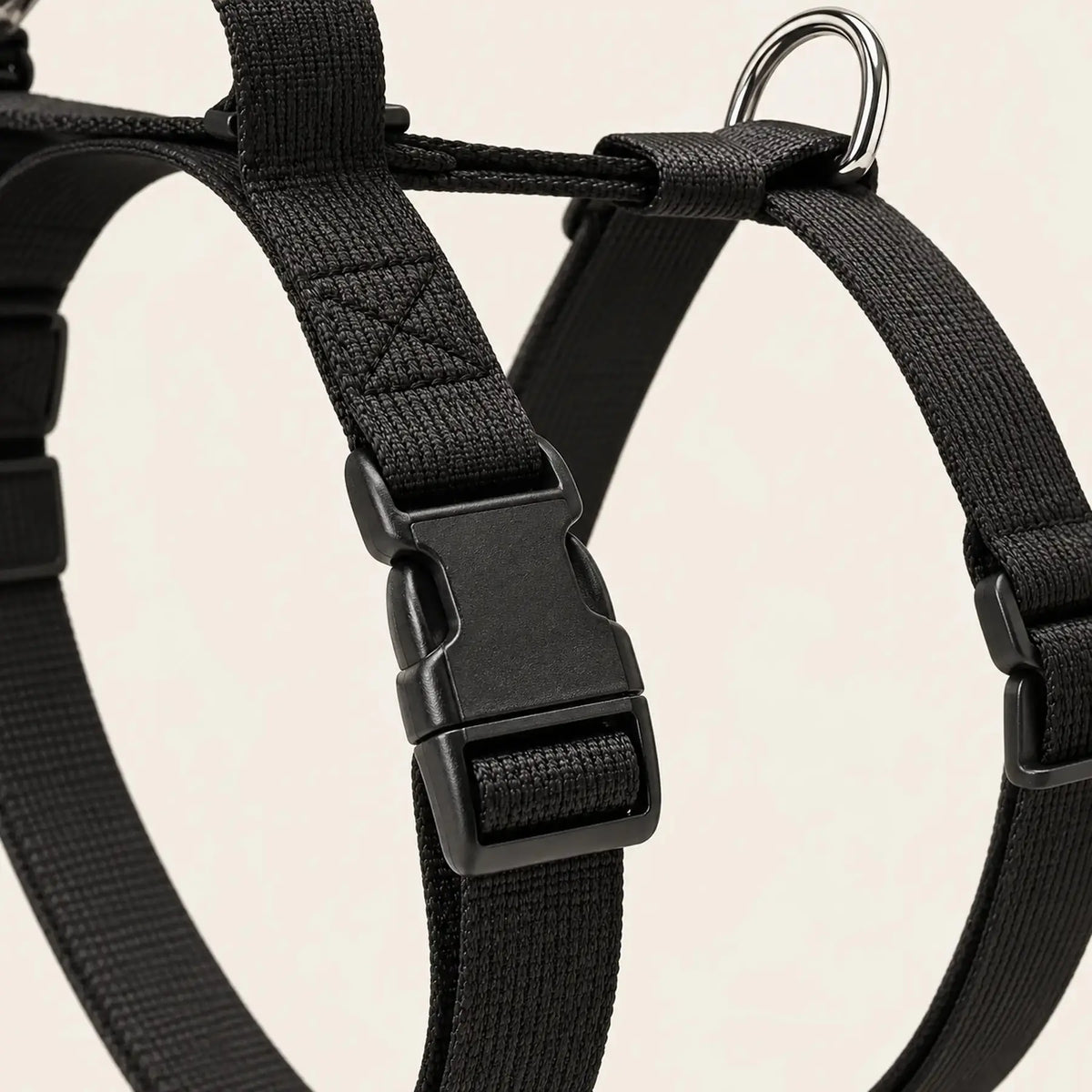 Gros plan sur la boucle et la sangle nylon du harnais