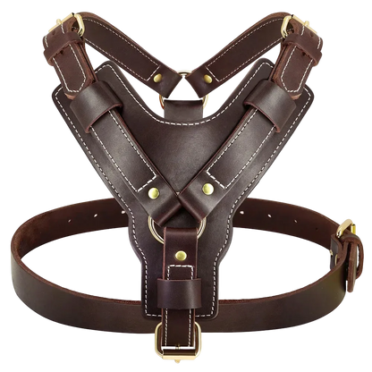 Harnais Chien en Cuir coloris marron, vue de face