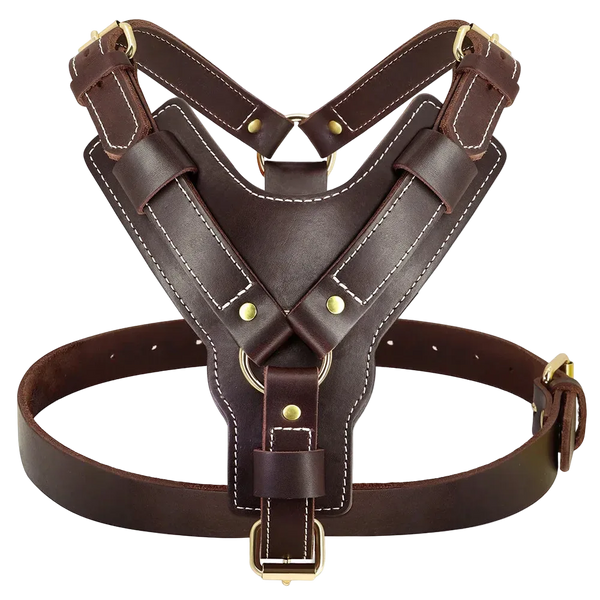 Harnais Chien en Cuir coloris marron, vue de face