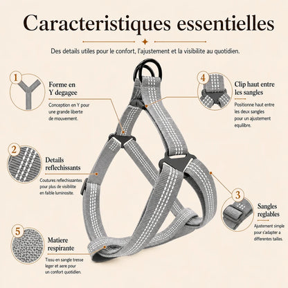 harnais chien gris caracteristiques essentielles