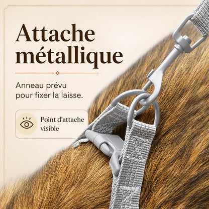 harnais chien gris detail attache metallique