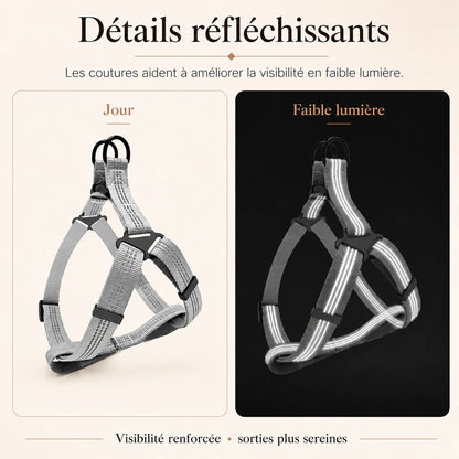 harnais chien gris detail bandes reflechissantes