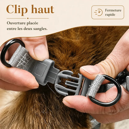 harnais chien gris detail clip haut