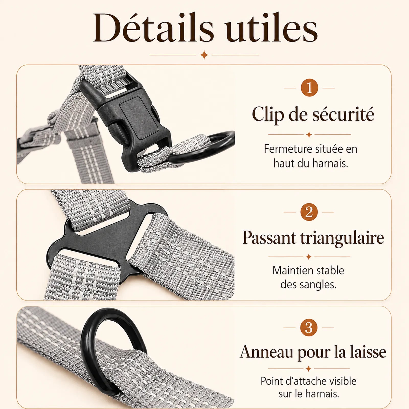 harnais chien gris detail clips anneaux