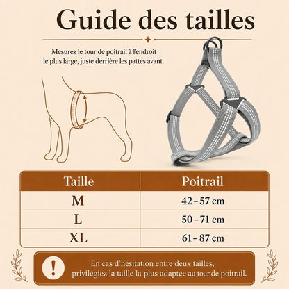 harnais chien gris guide des tailles