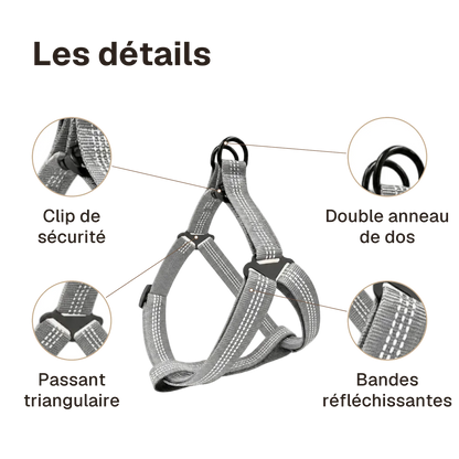 Les détails du harnais chien Y gris : double anneau de dos, clip de sécurité, passant triangulaire, bandes réfléchissantes