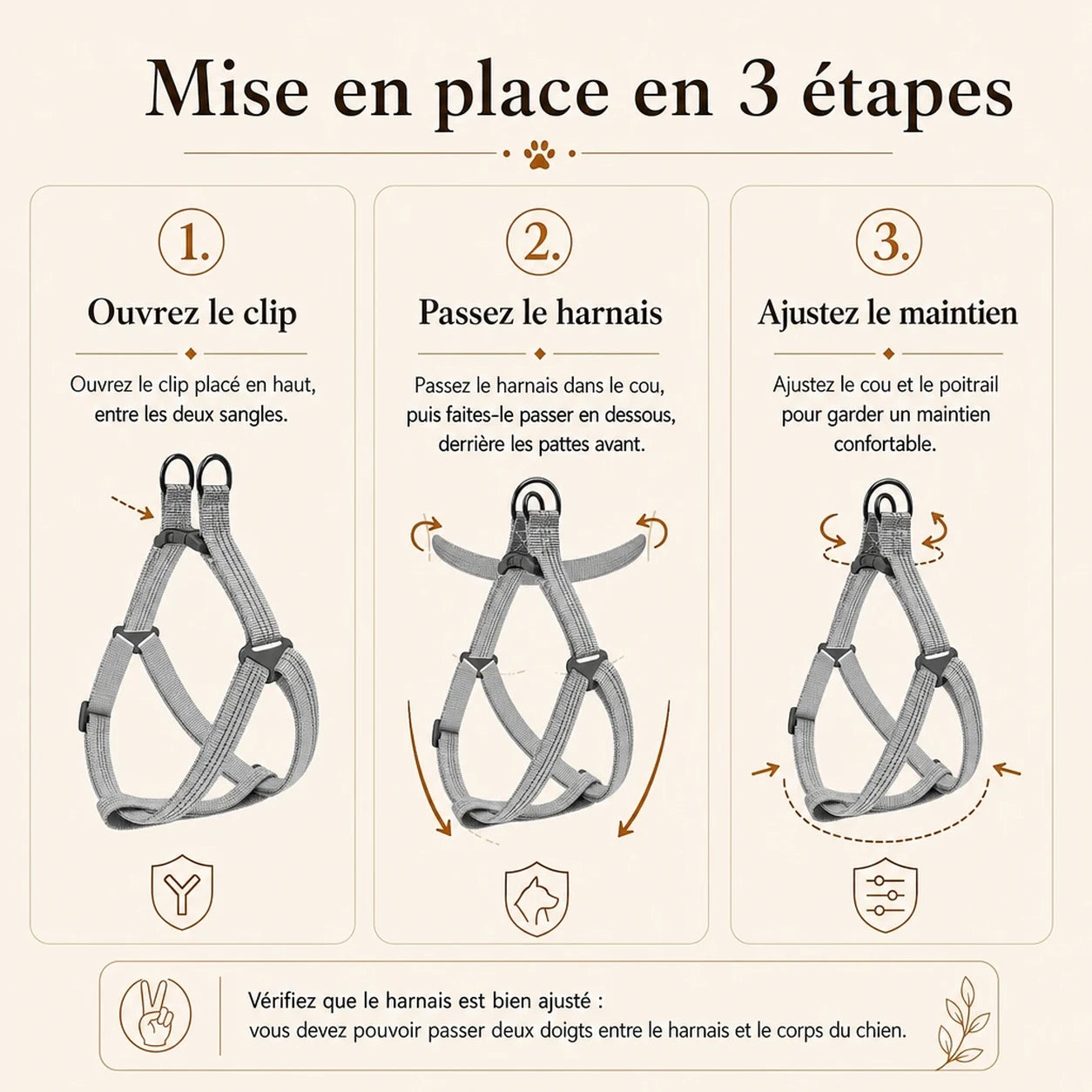 harnais chien gris mise en place 3 etapes