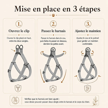 harnais chien gris mise en place 3 etapes