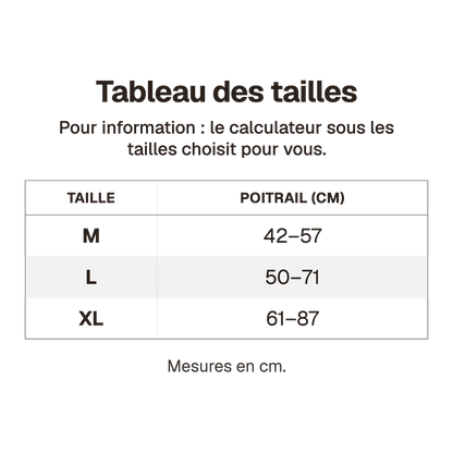 Tableau des tailles du harnais chien Y gris : tour de poitrail