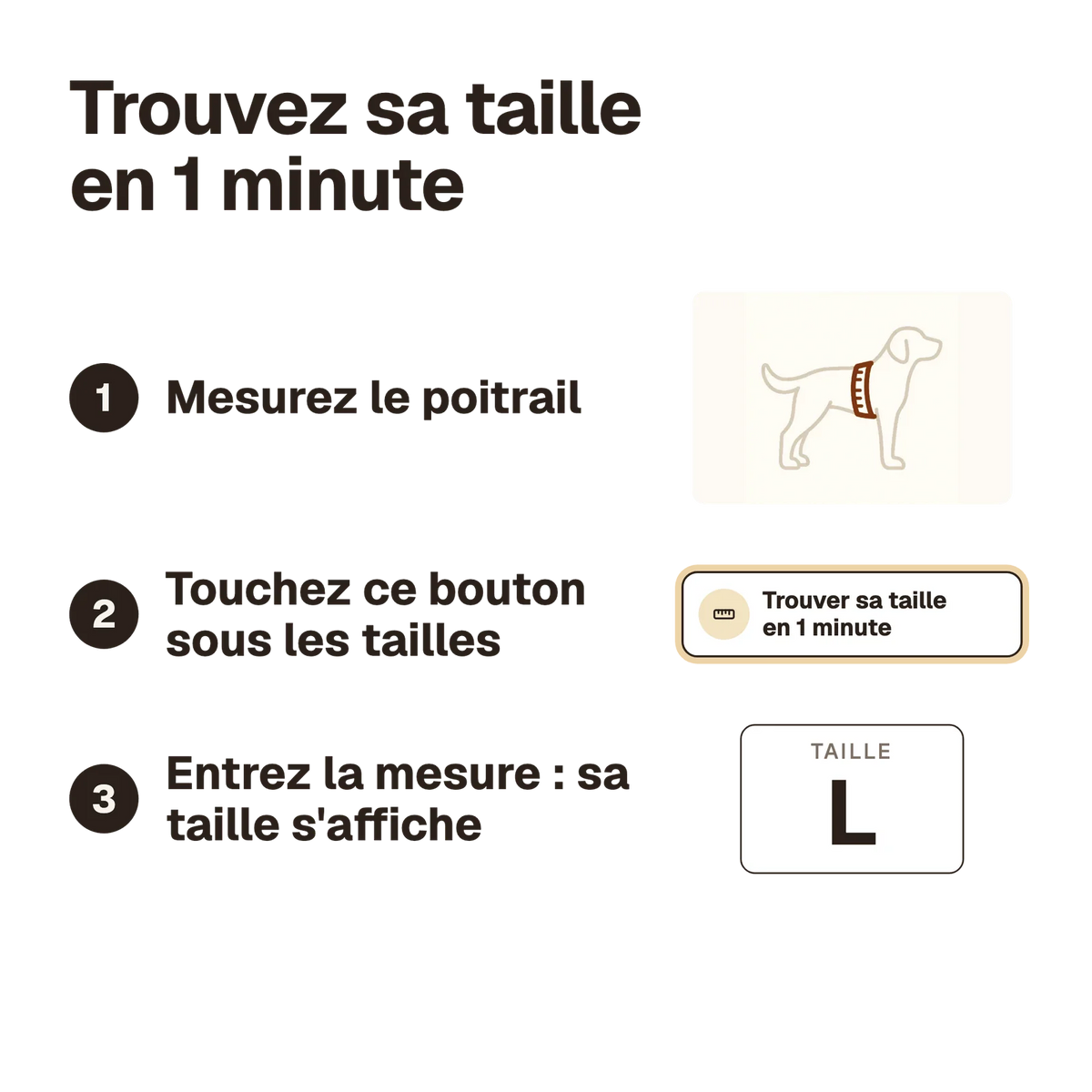 Trouvez la taille du harnais chien Y gris en 1 minute : mesurez le poitrail, le calculateur affiche la taille