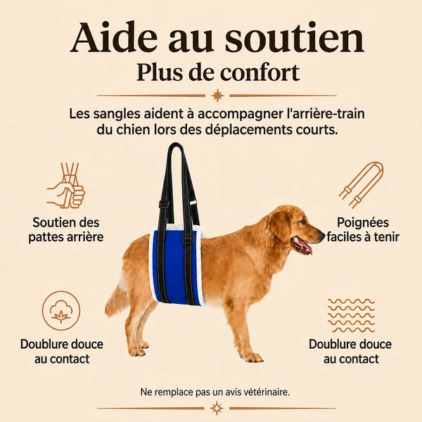 Harnais Chien Handicapé Bleu