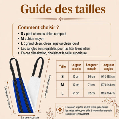 Harnais Chien Handicapé Bleu