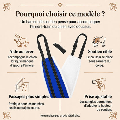 Harnais Chien Handicapé Bleu