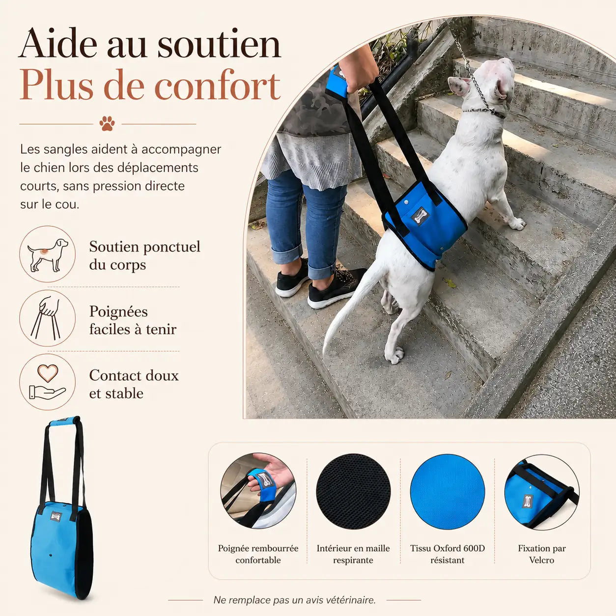 Harnais Chien Handicapé Bleu Renforcé