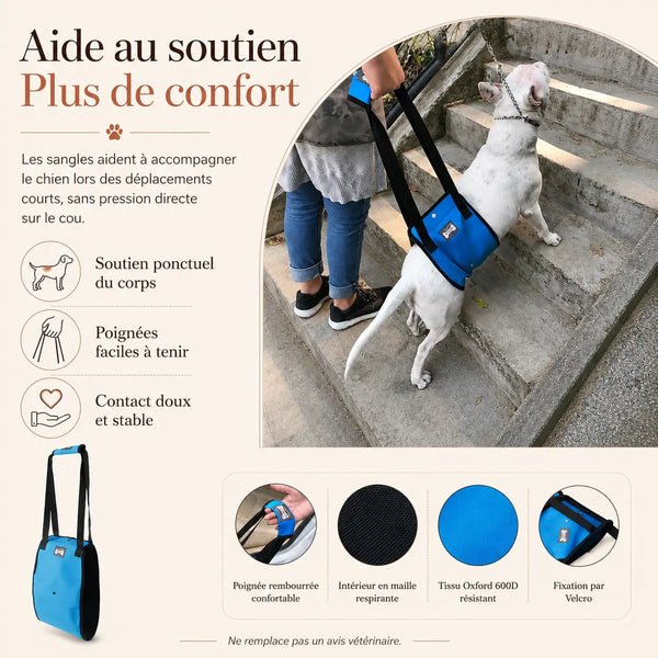 Harnais Chien Handicapé Bleu Renforcé