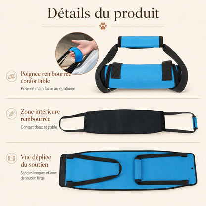 Harnais Chien Handicapé Bleu Renforcé