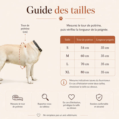 Harnais Chien Handicapé Bleu Renforcé