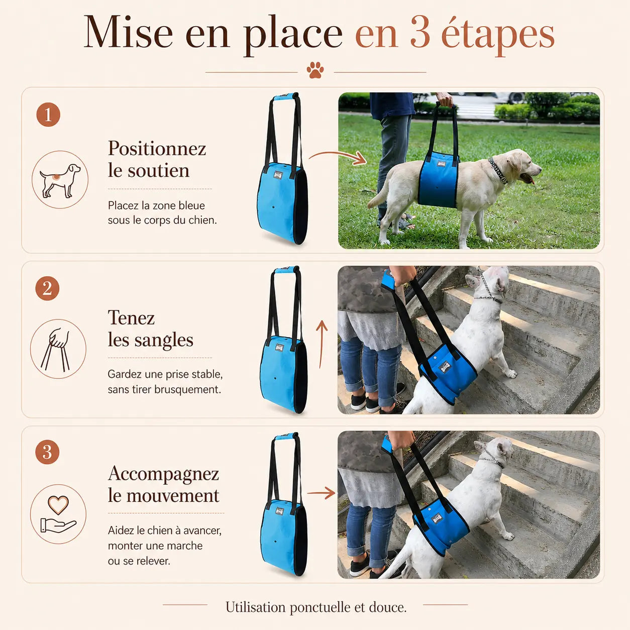 Harnais Chien Handicapé Bleu Renforcé
