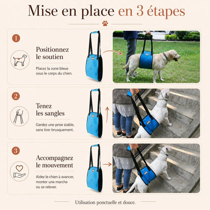 Harnais Chien Handicapé Bleu Renforcé