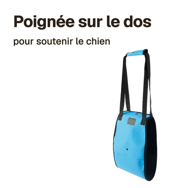 Poignée sur le dos du harnais de soutien pour chien handicapé bleu renforcé : pour soutenir le chien
