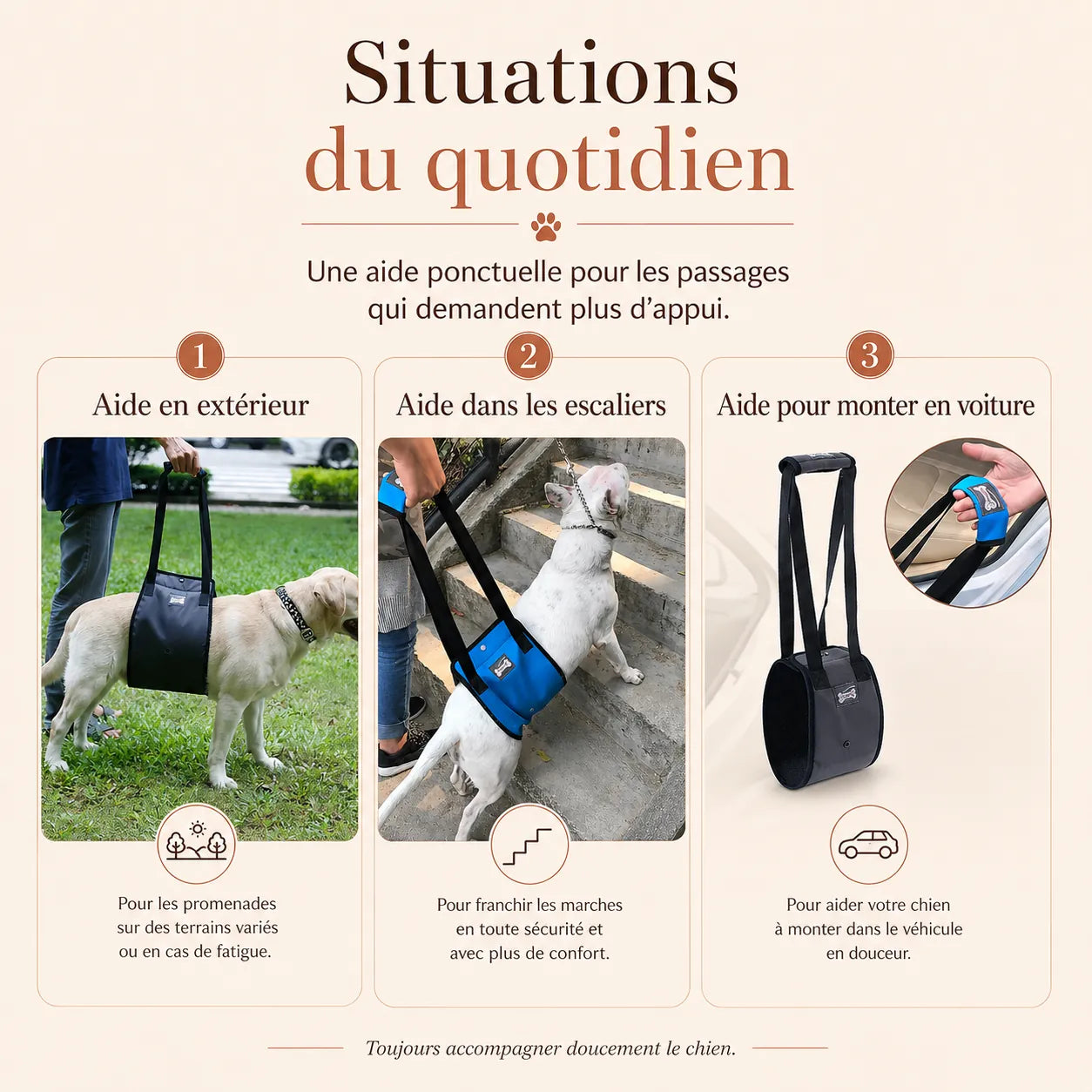 Harnais Chien Handicapé Bleu Renforcé