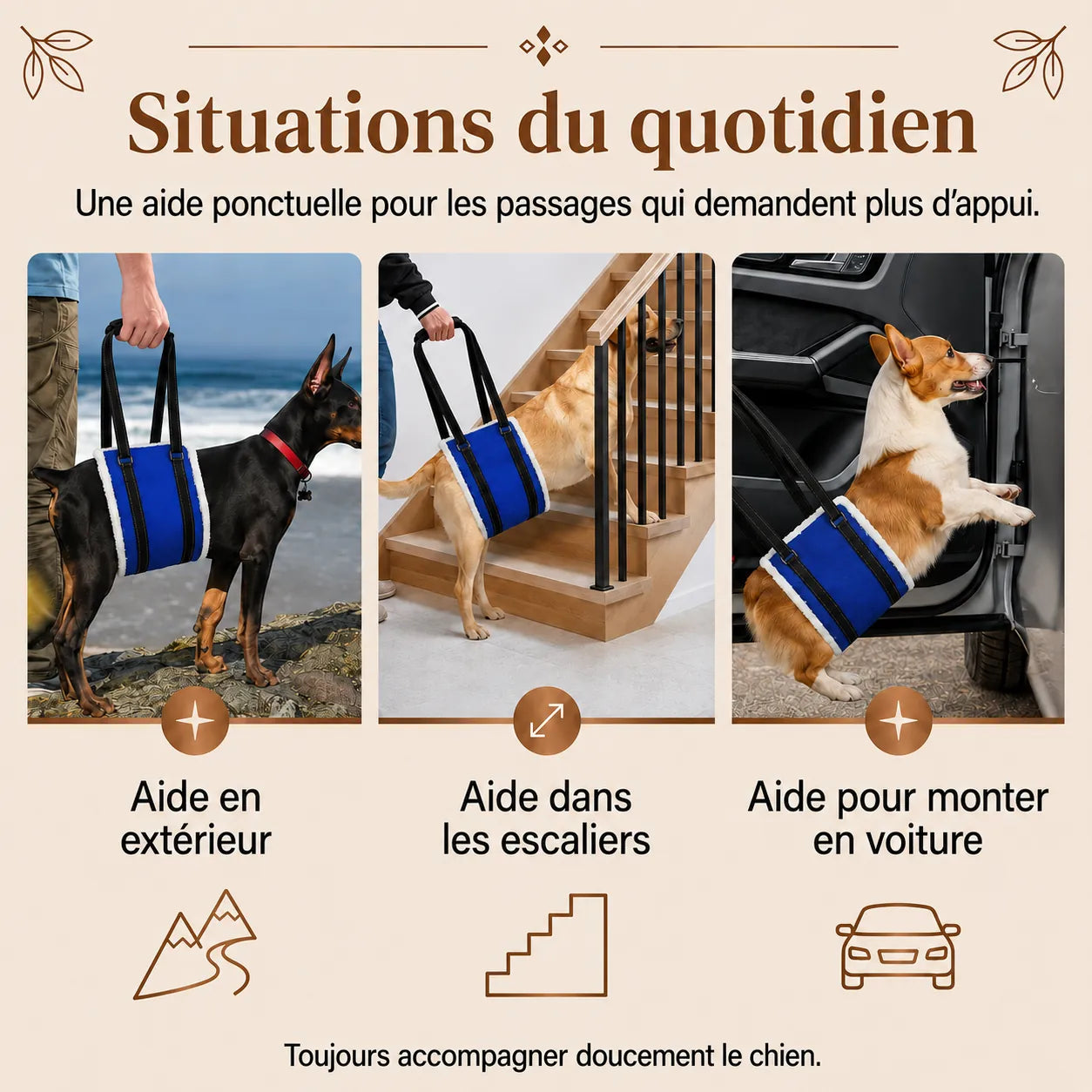 Harnais Chien Handicapé Bleu