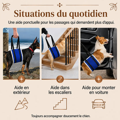 Harnais Chien Handicapé Bleu