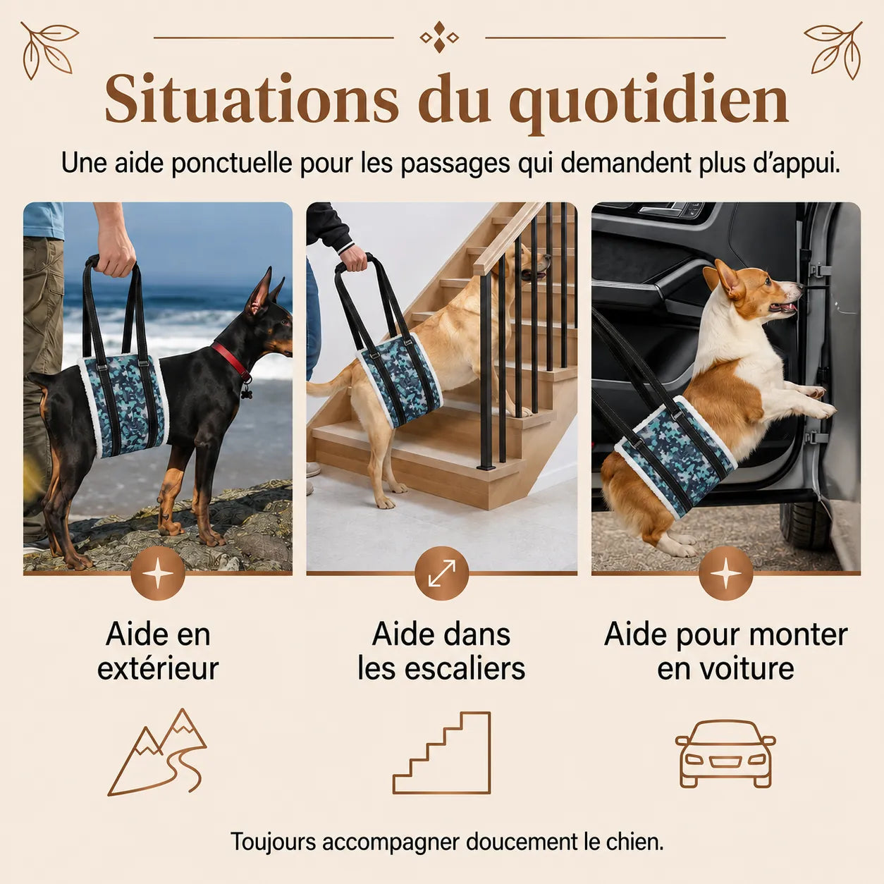 Harnais Chien Handicapé Camouflage