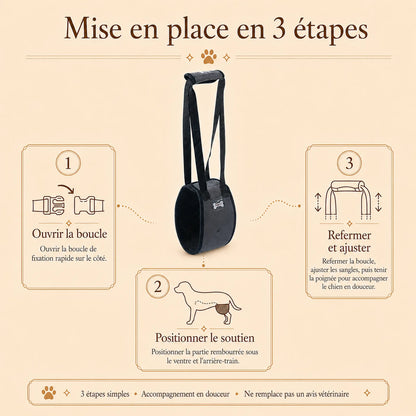 harnais chien handicape gris mise en place 3 etapes