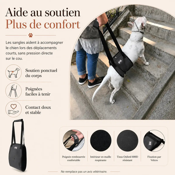 Harnais Chien Handicapé Gris