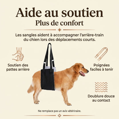 Harnais Chien Handicapé Noir - aide au soutien
