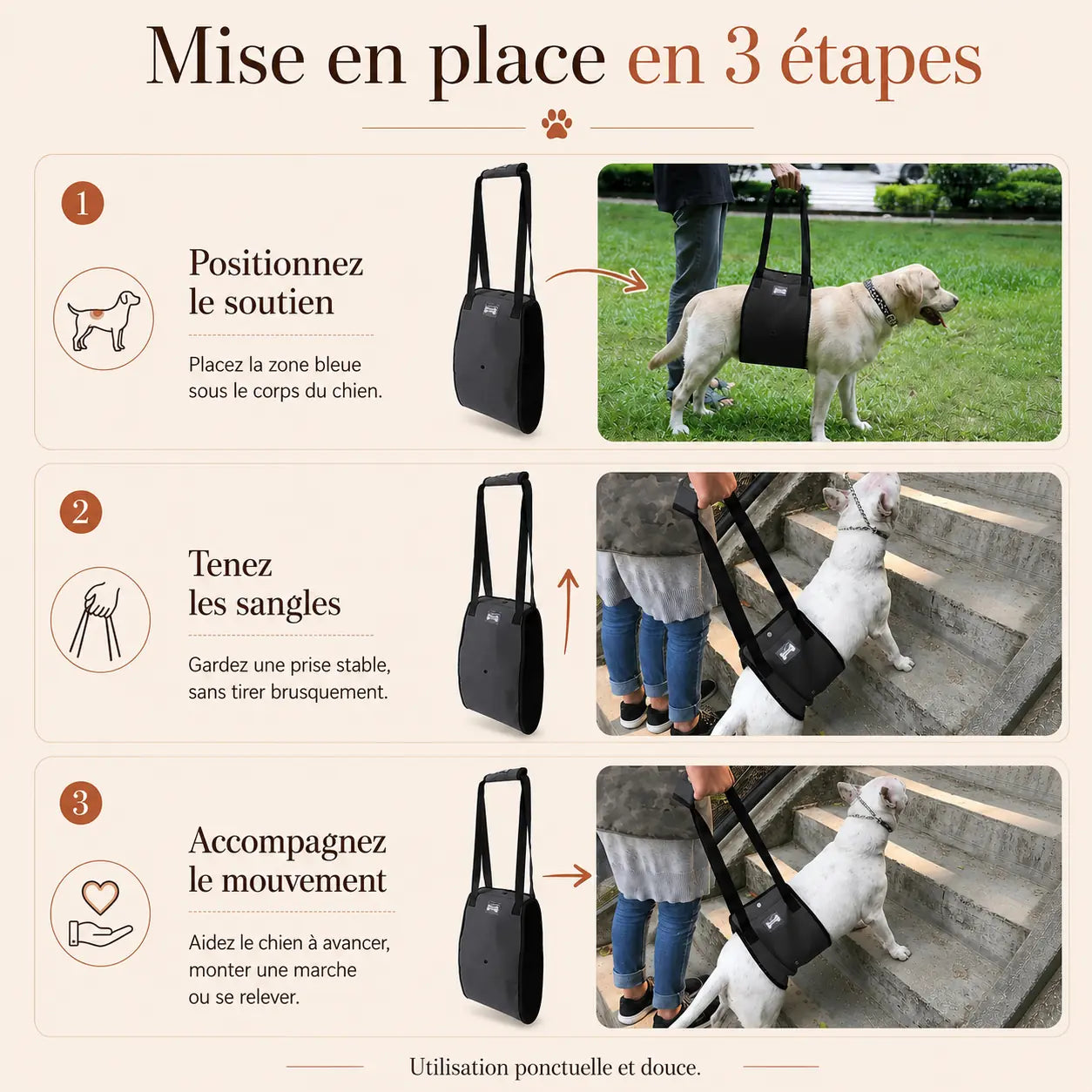 Harnais Chien Handicapé Gris