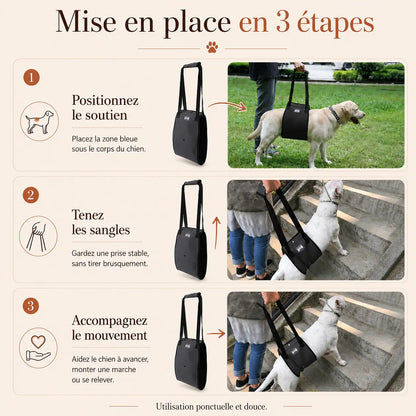Harnais Chien Handicapé Gris