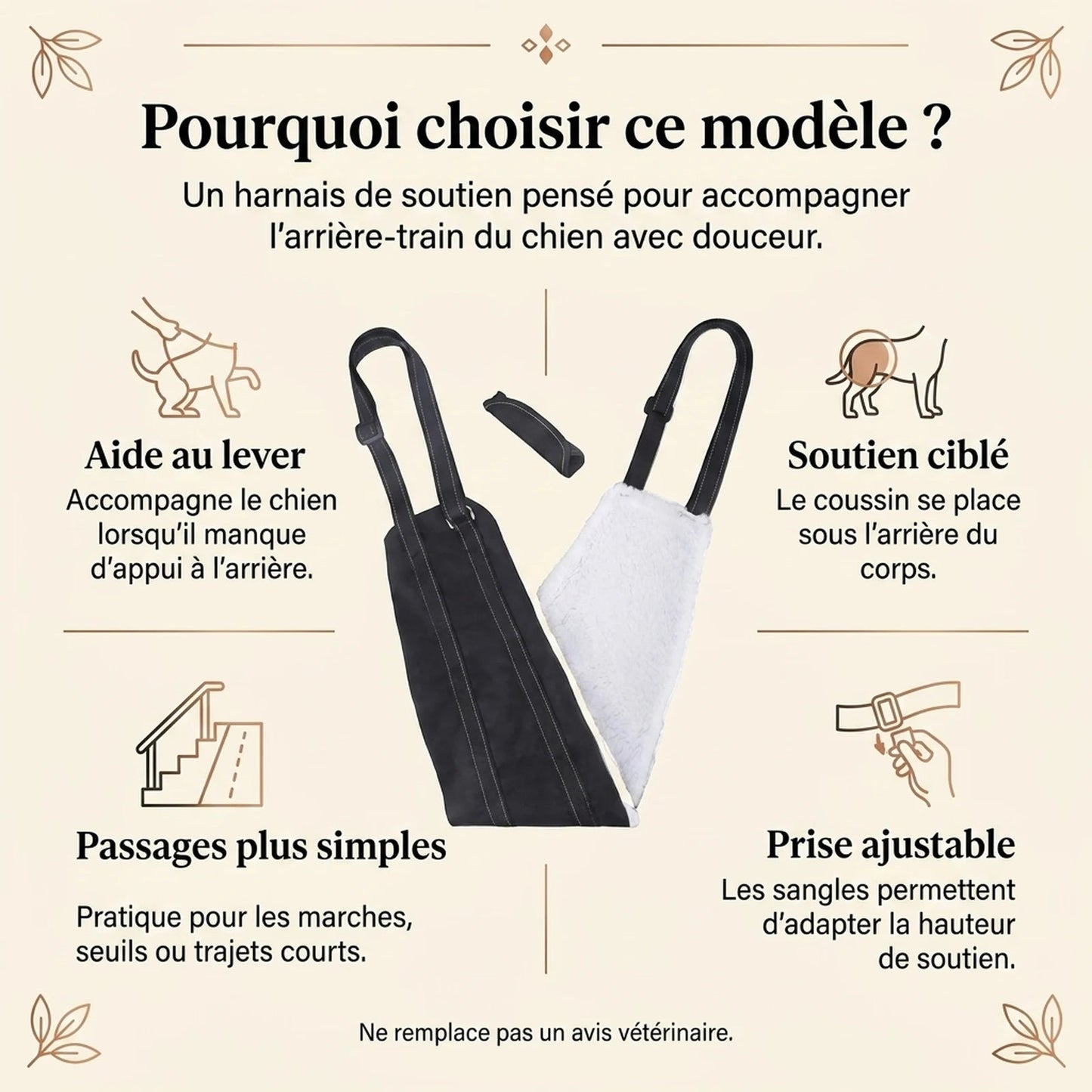 Harnais Chien Handicapé Noir - pourquoi choisir ce modele
