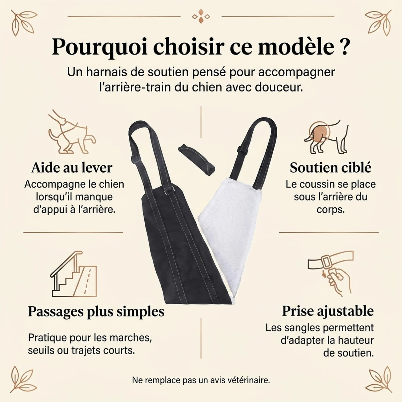 Harnais Chien Handicapé Noir - pourquoi choisir ce modele