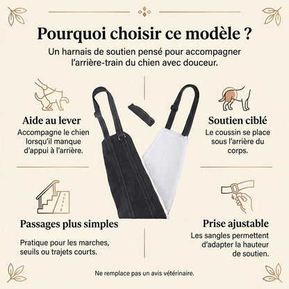 Harnais Chien Handicapé Noir - pourquoi choisir ce modele
