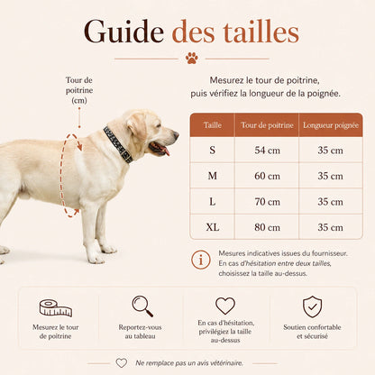 Harnais Chien Handicapé Gris