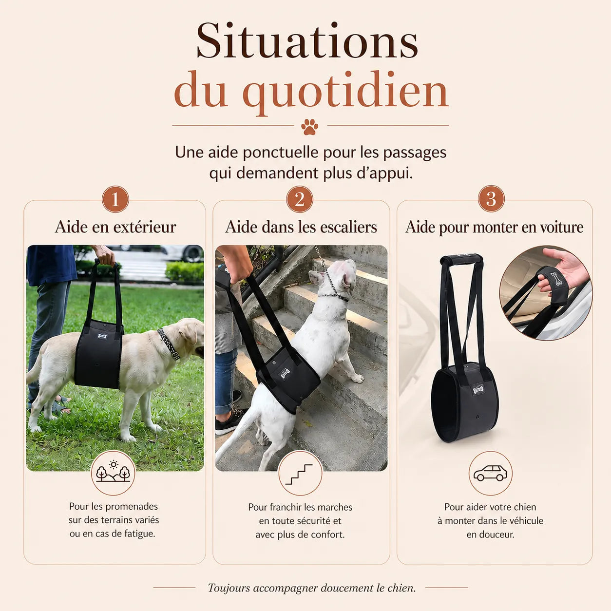 Harnais Chien Handicapé Gris