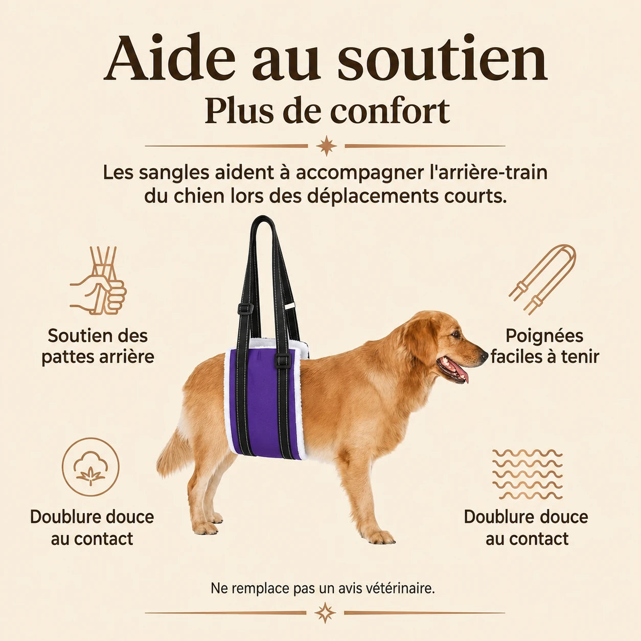 Harnais Chien Handicapé Violet