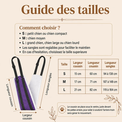 Harnais Chien Handicapé Violet