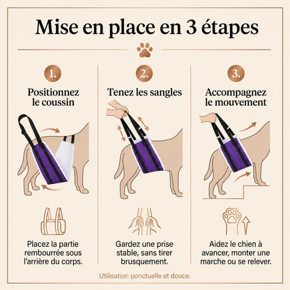 Harnais Chien Handicapé Violet