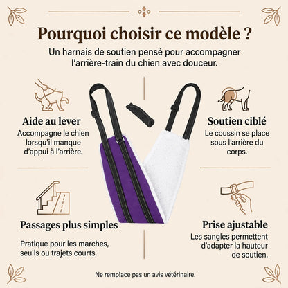 Harnais Chien Handicapé Violet