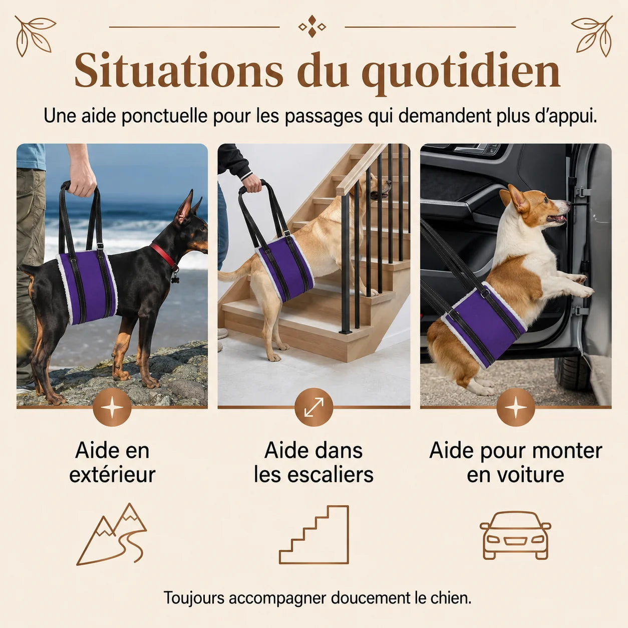 Harnais Chien Handicapé Violet