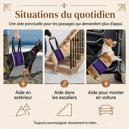 Harnais Chien Handicapé Violet