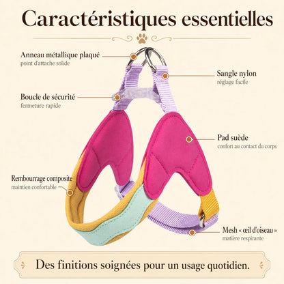harnais chien macaron caracteristiques essentielles