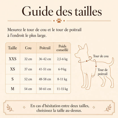 harnais chien macaron guide des tailles