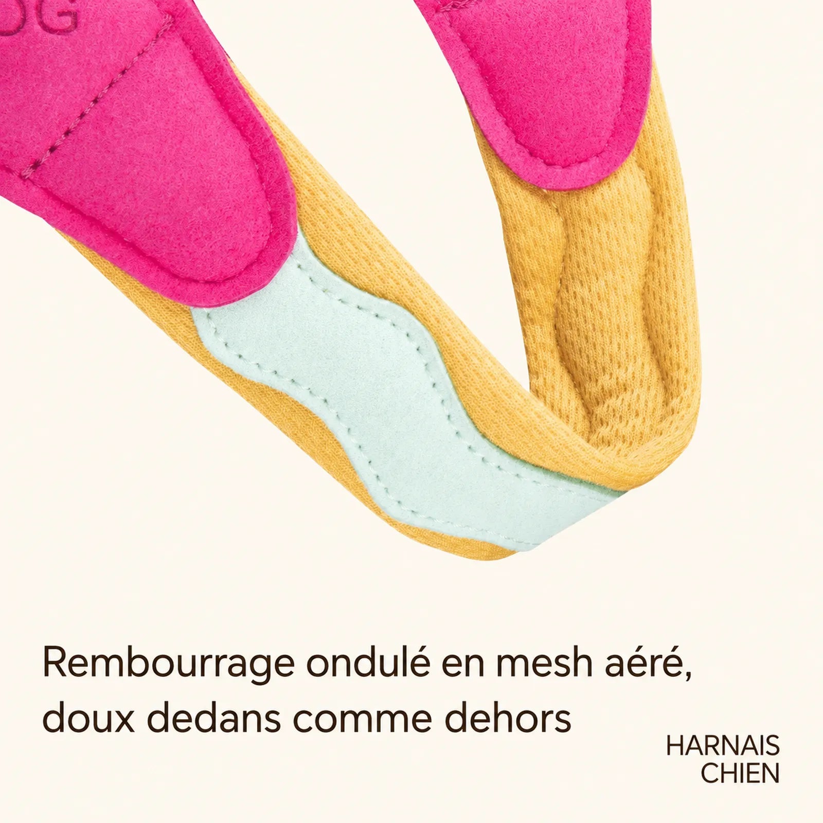 Harnais Chien Macaron - Rembourrage mesh aéré