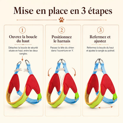 harnais chien macaron mise en place 3 etapes