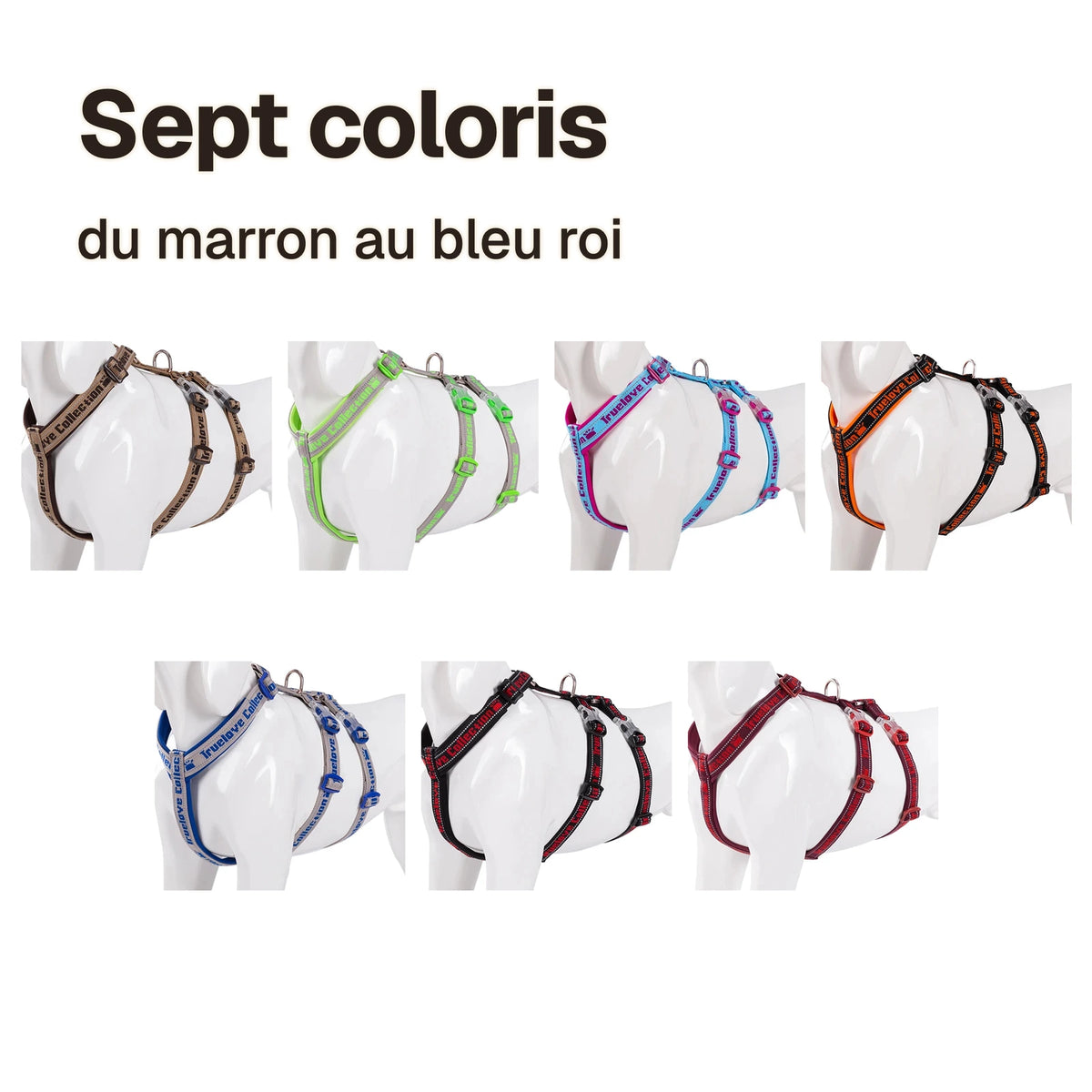 Harnais chien 3 points néoprène en sept coloris